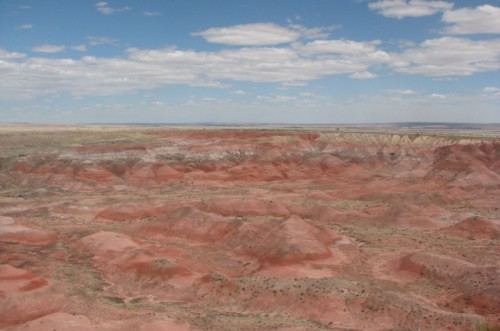 The red layers of the Chinle Formation