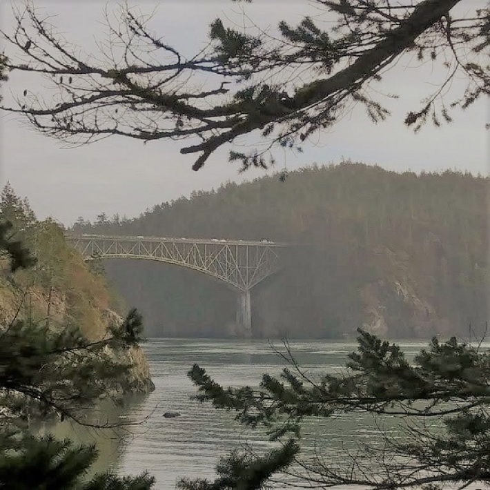January-DP-Bridge